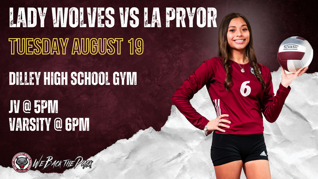 DHS Volleyball