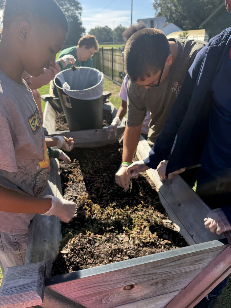 Students planting the raised beds at Latta Middle School