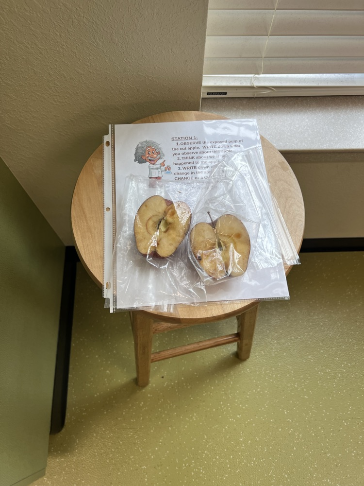 Brown Apple Station