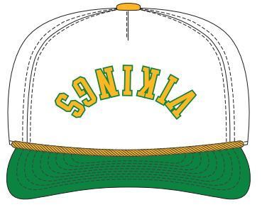 Vikings Upside Down Hat