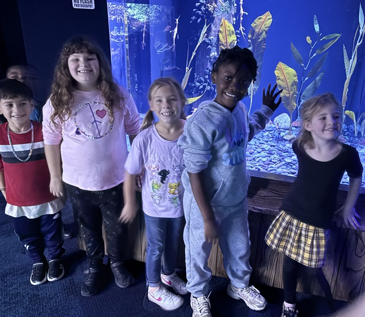 Field Trip to Ripley’s Aquarium: Ocean & Coral Reef Study