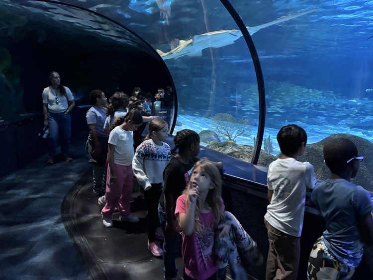 Field Trip to Ripley’s Aquarium: Ocean & Coral Reef Study