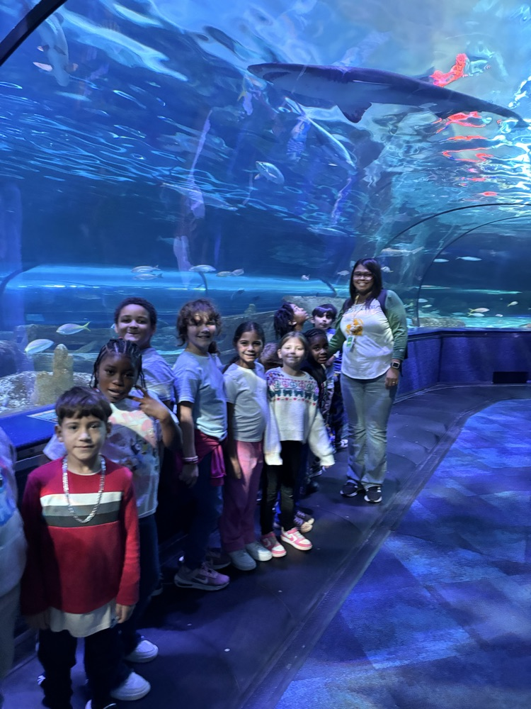 Field Trip to Ripley’s Aquarium: Ocean & Coral Reef Study