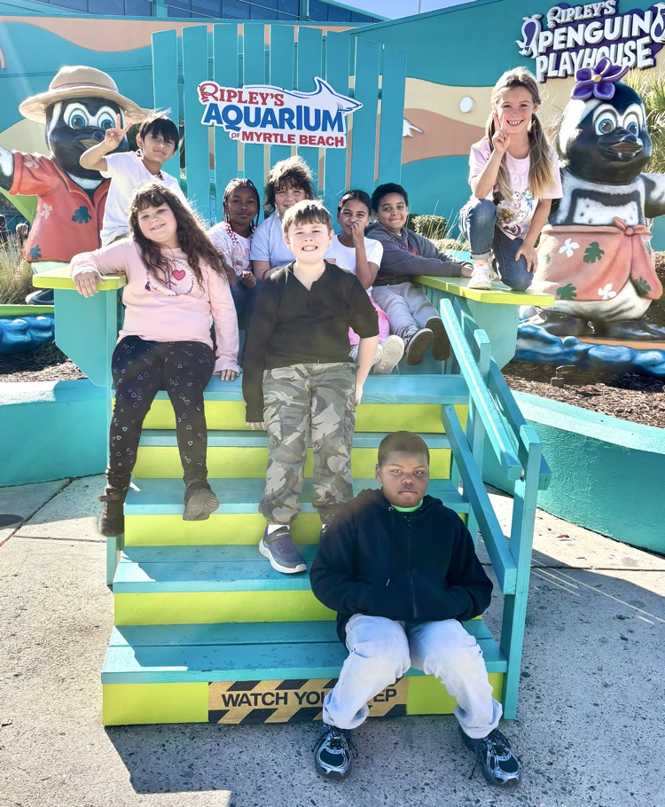 Field Trip to Ripley’s Aquarium: Ocean & Coral Reef Study