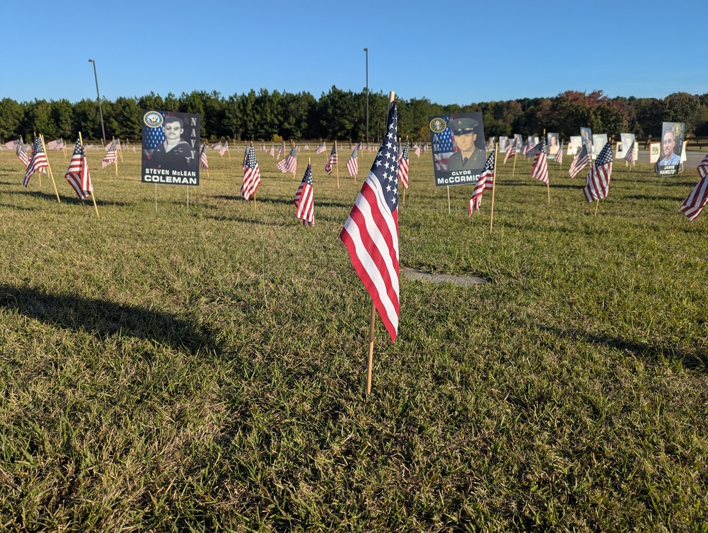 Veterans' Day Display
