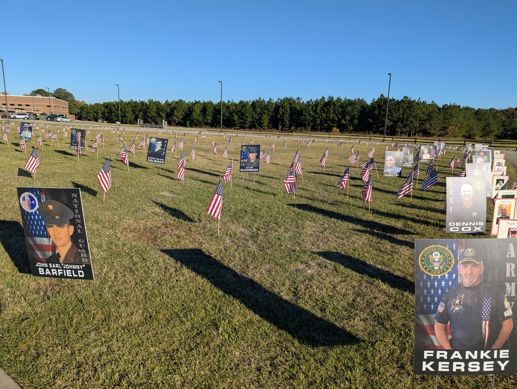 Veterans' Day Display