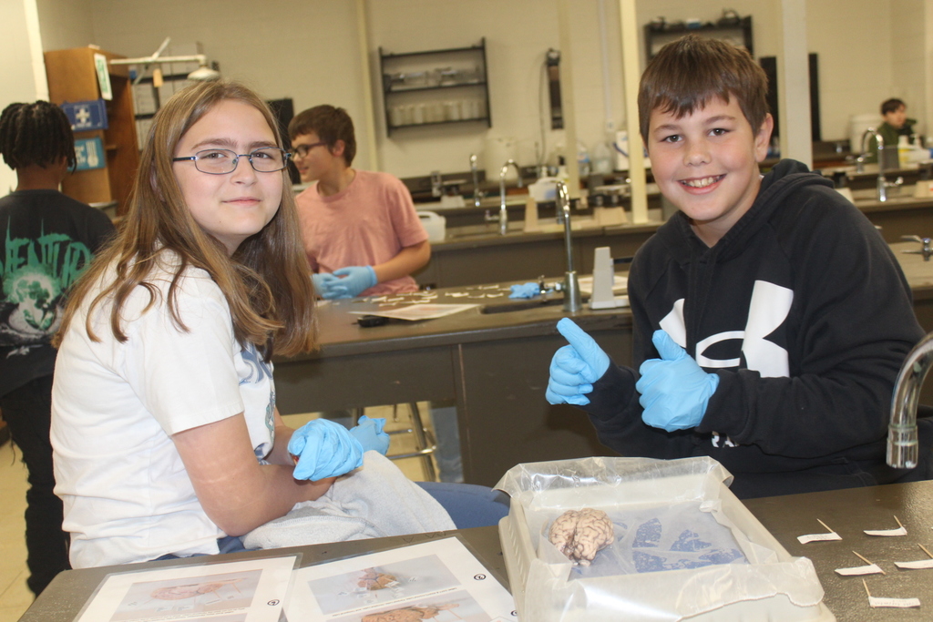 Students are excited about the sheep brain disscetion!