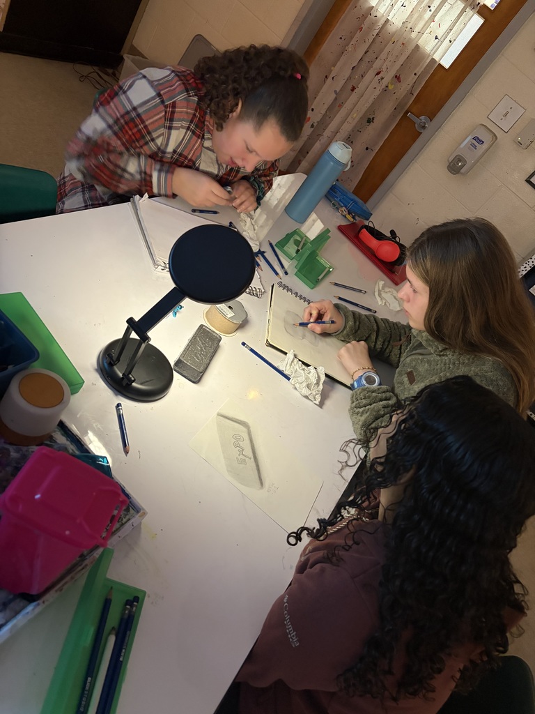 Drawing from observation 