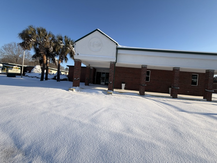 LMS - snow picture 2
