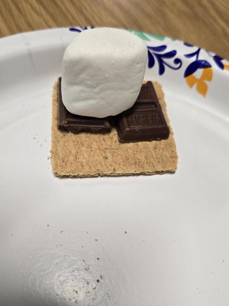 Students teach how to make s'mores in ProTeam.