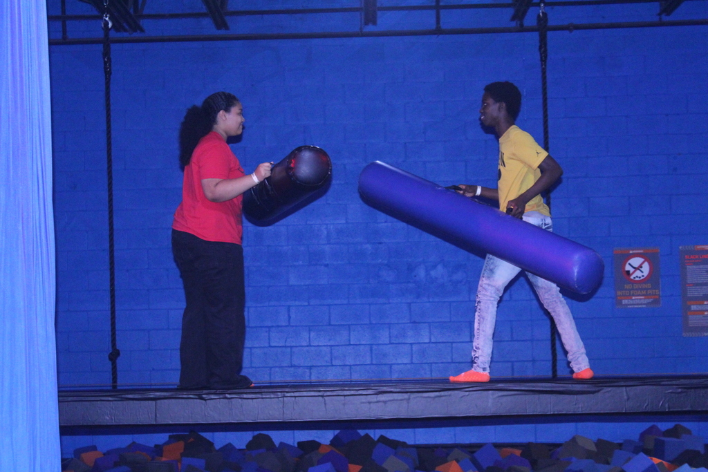 Skyzone 2 