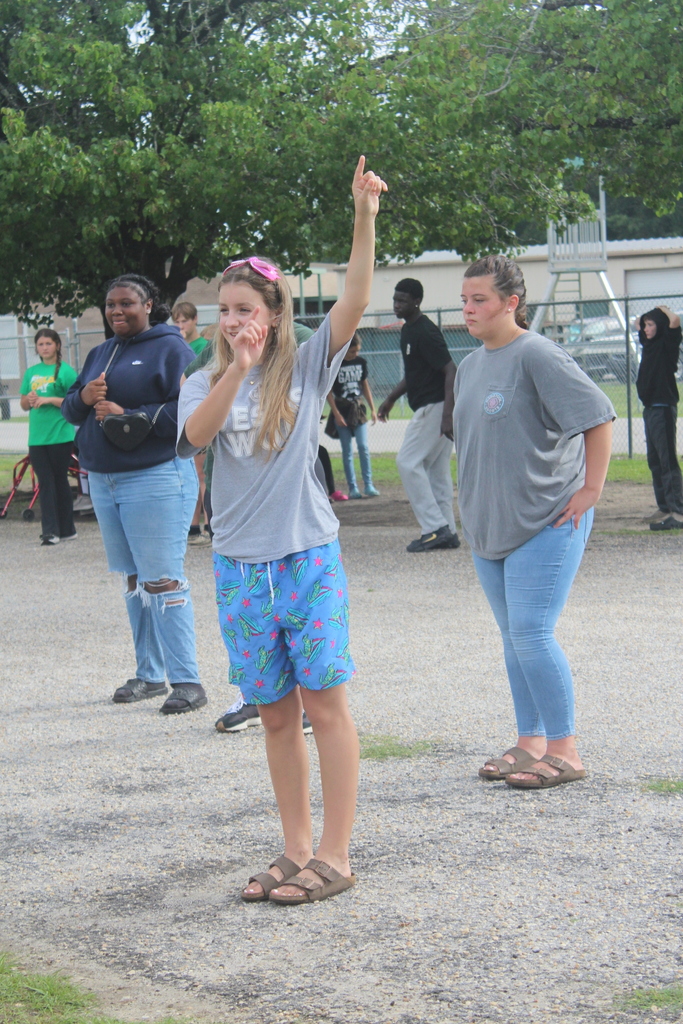 Field Day - Ships and Sailors 2