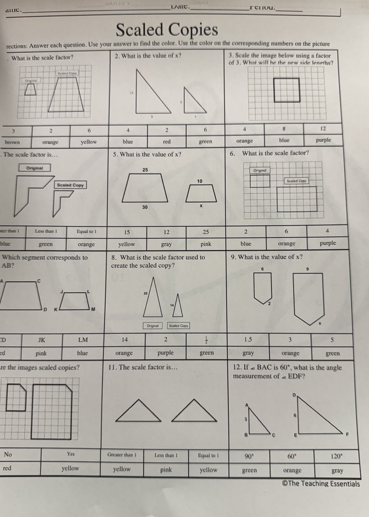 Pumpkin scale drawing