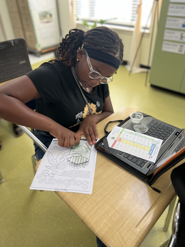 Learning Lab 8