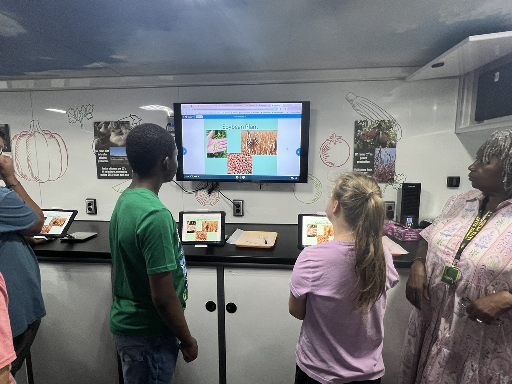 Learning Lab 10