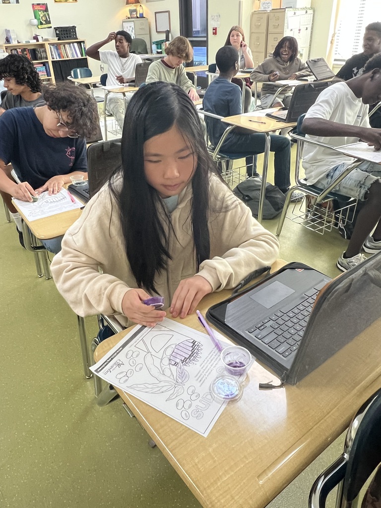 Learning Lab 7