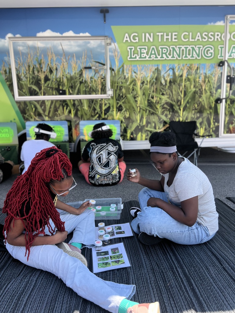 Learning Lab 3