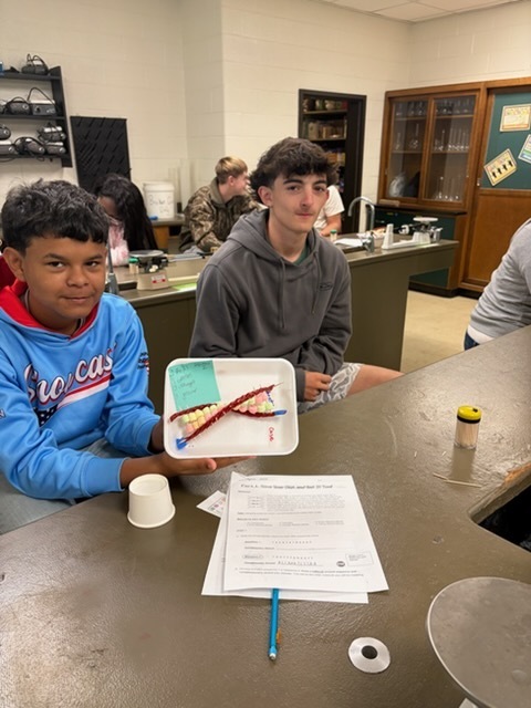 DNA Lab Participants