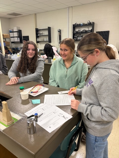 DNA Lab Participants