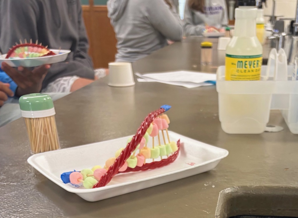 DNA Lab Product