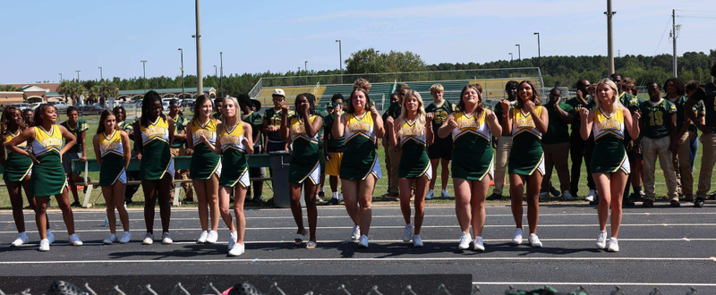 Viking Cheerleaders