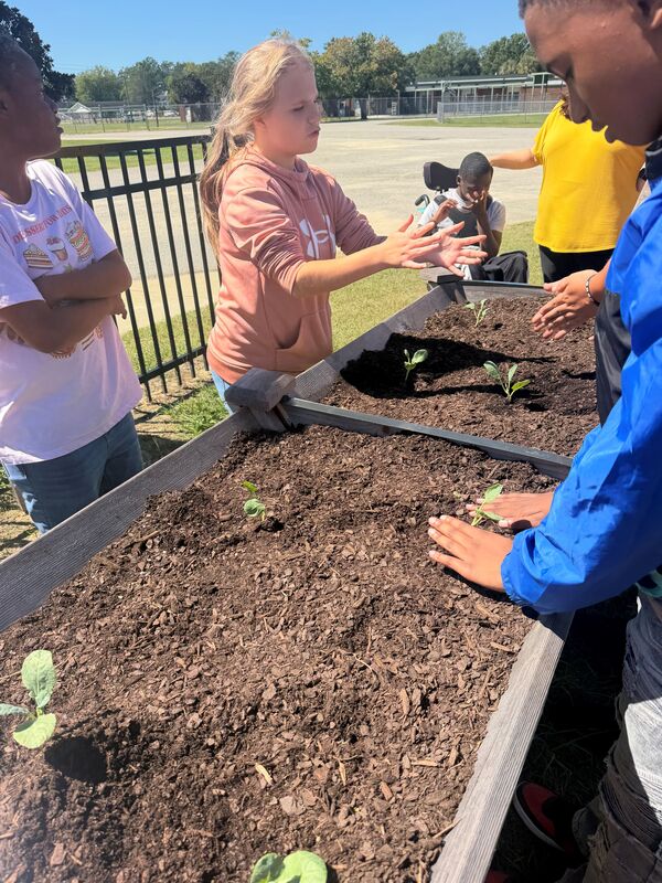Students planting the raised garden beds at LMS