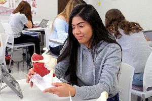 Med Academy students