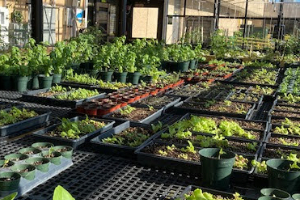 RMHS Greenhouse