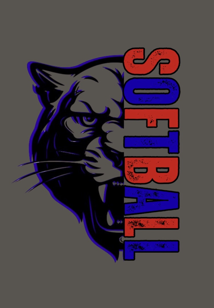 Gray Softball Shirt Design 