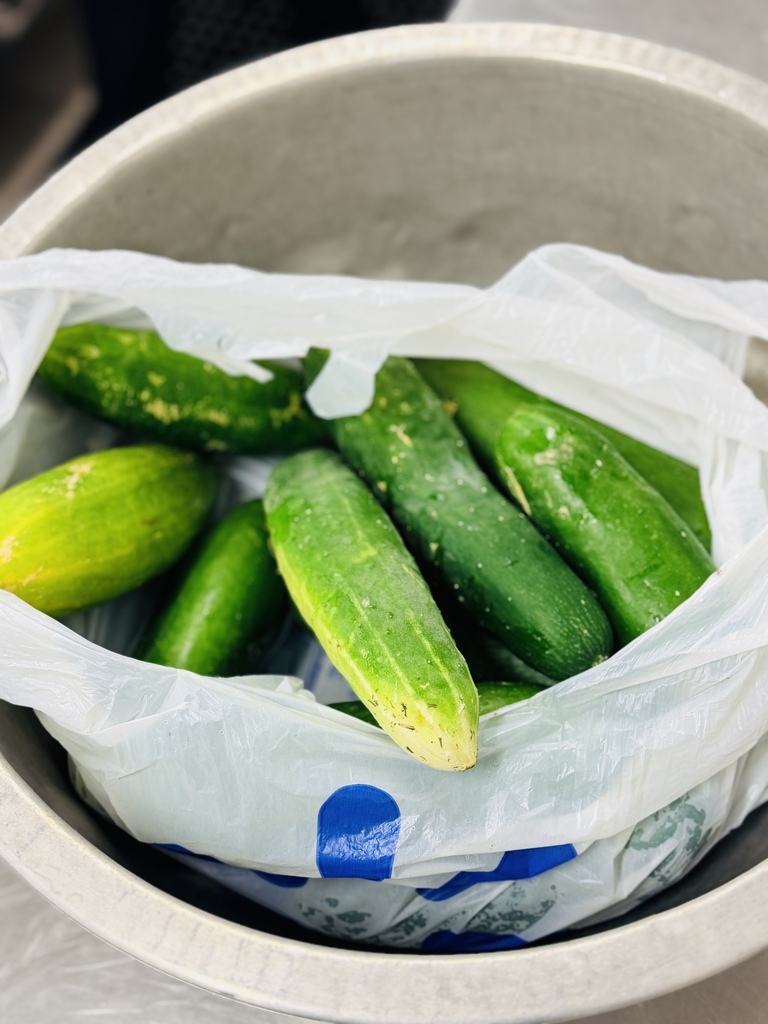Cucumbers