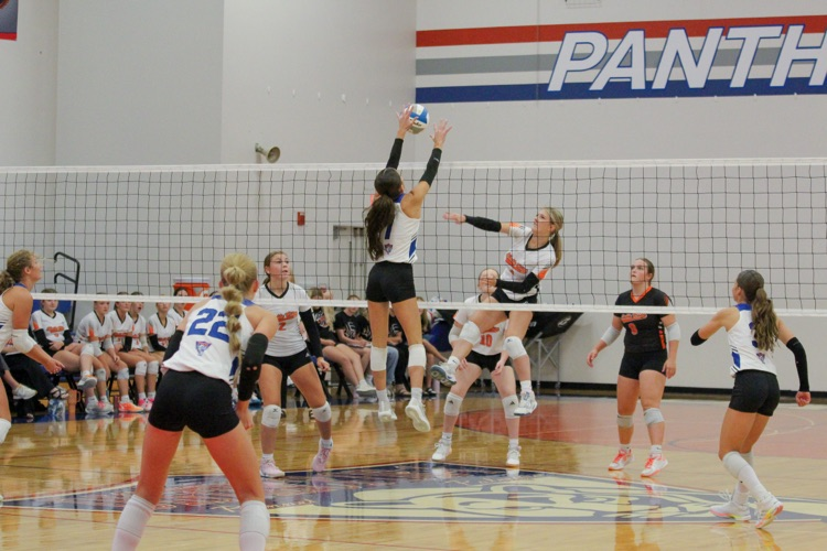 Panther Volleyball Player Blocks Ball