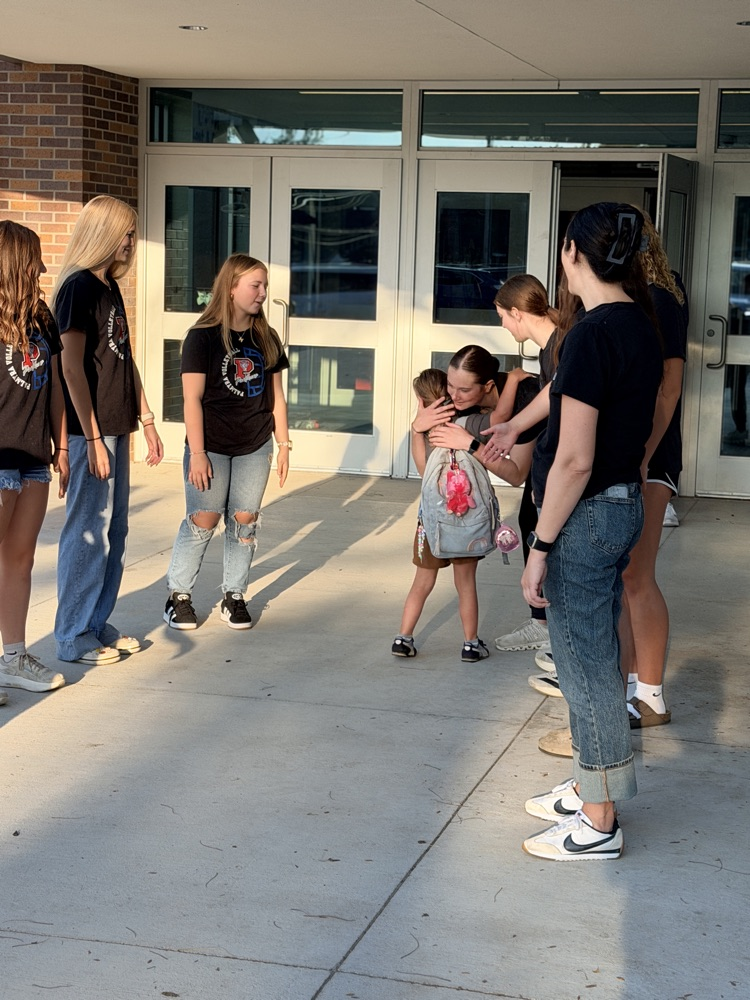 Volleyball Team Giving High Fives