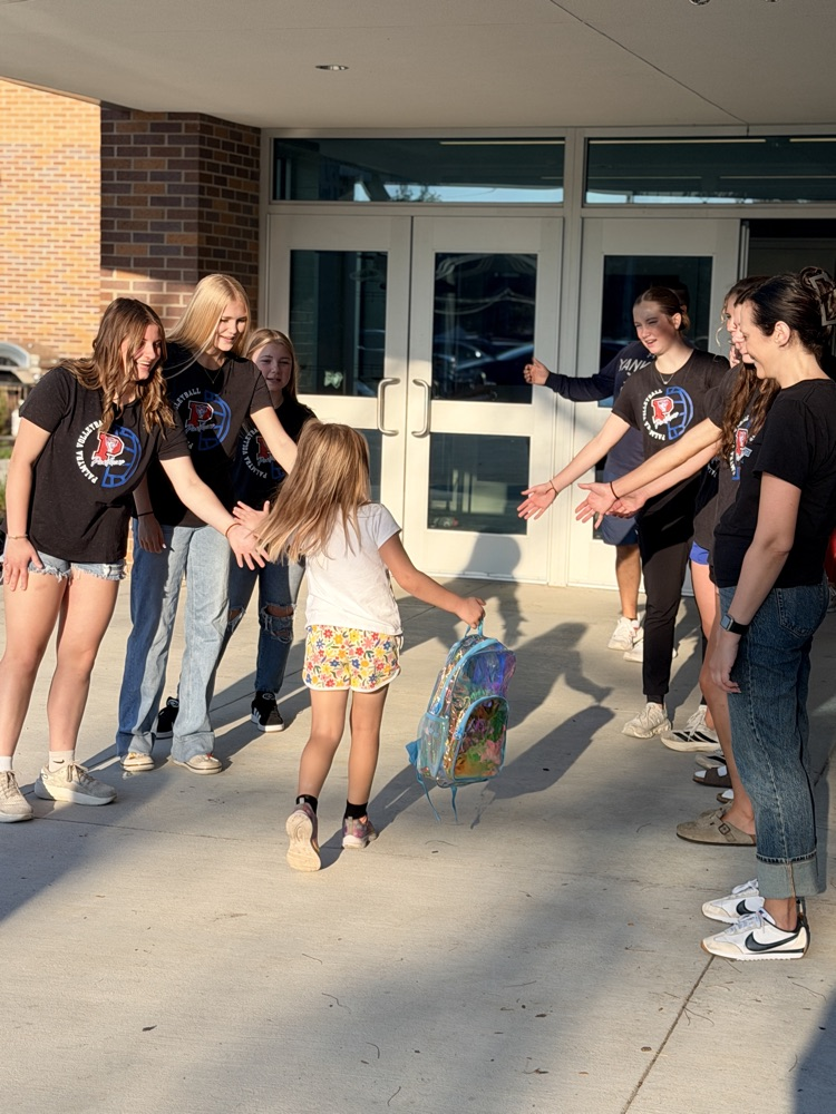 Volleyball Team Giving High Fives