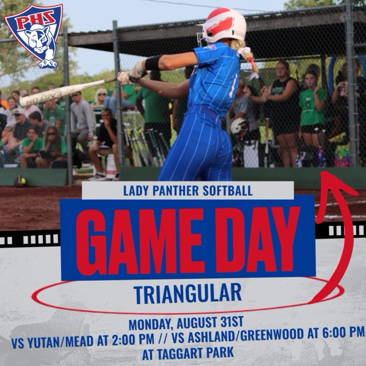 Softball Game Day Graphic August 31st