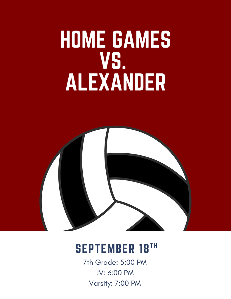 Volleyball Game