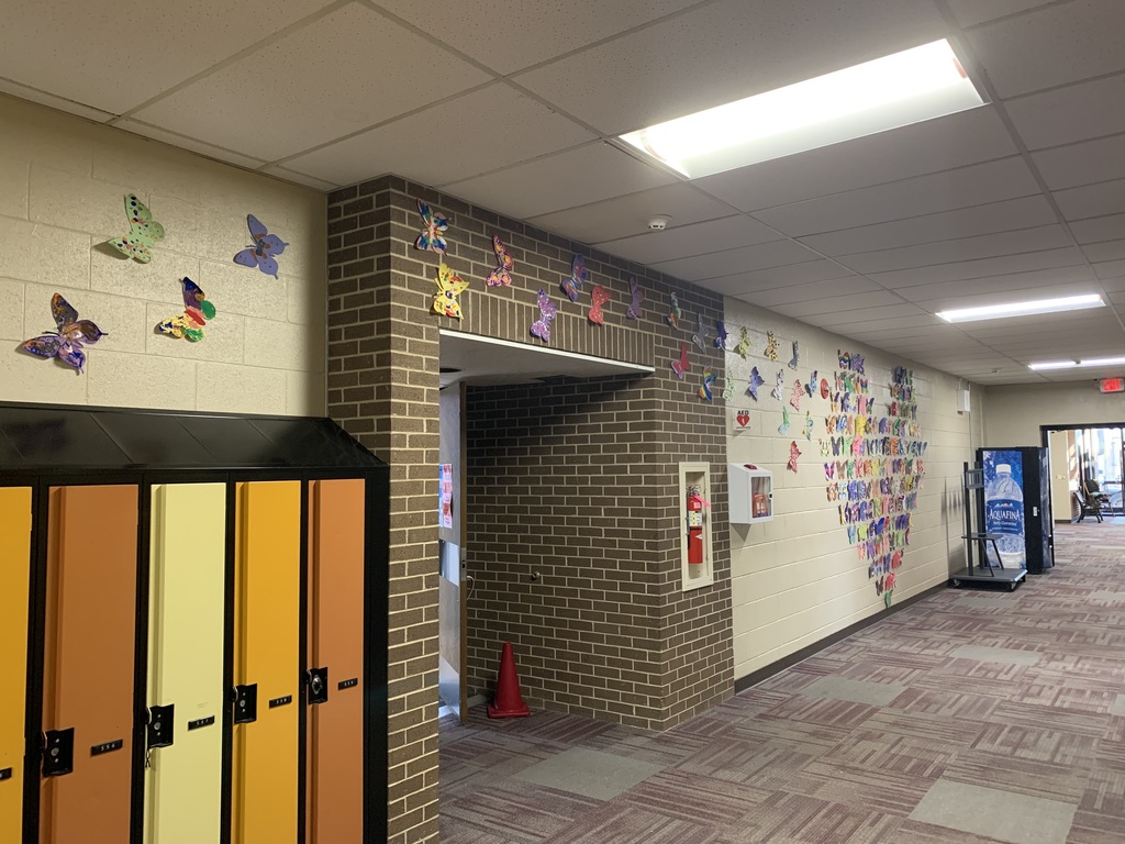 symmetry butterflies