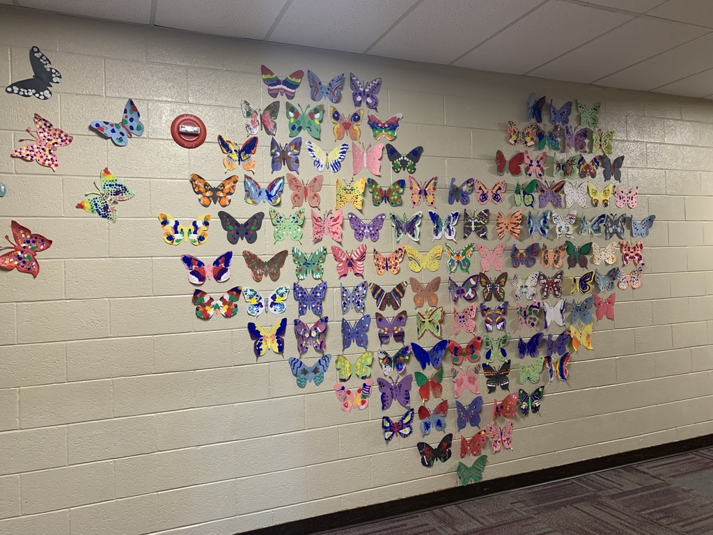 symmetry butterfly heart