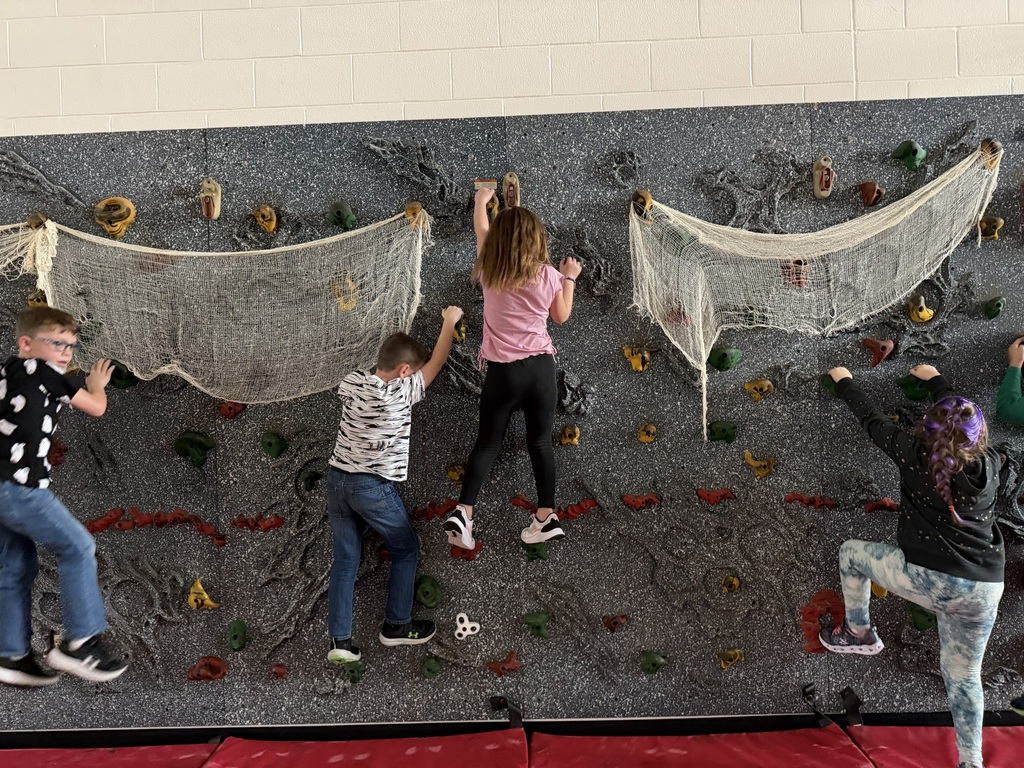 cobewebs on the rock wall