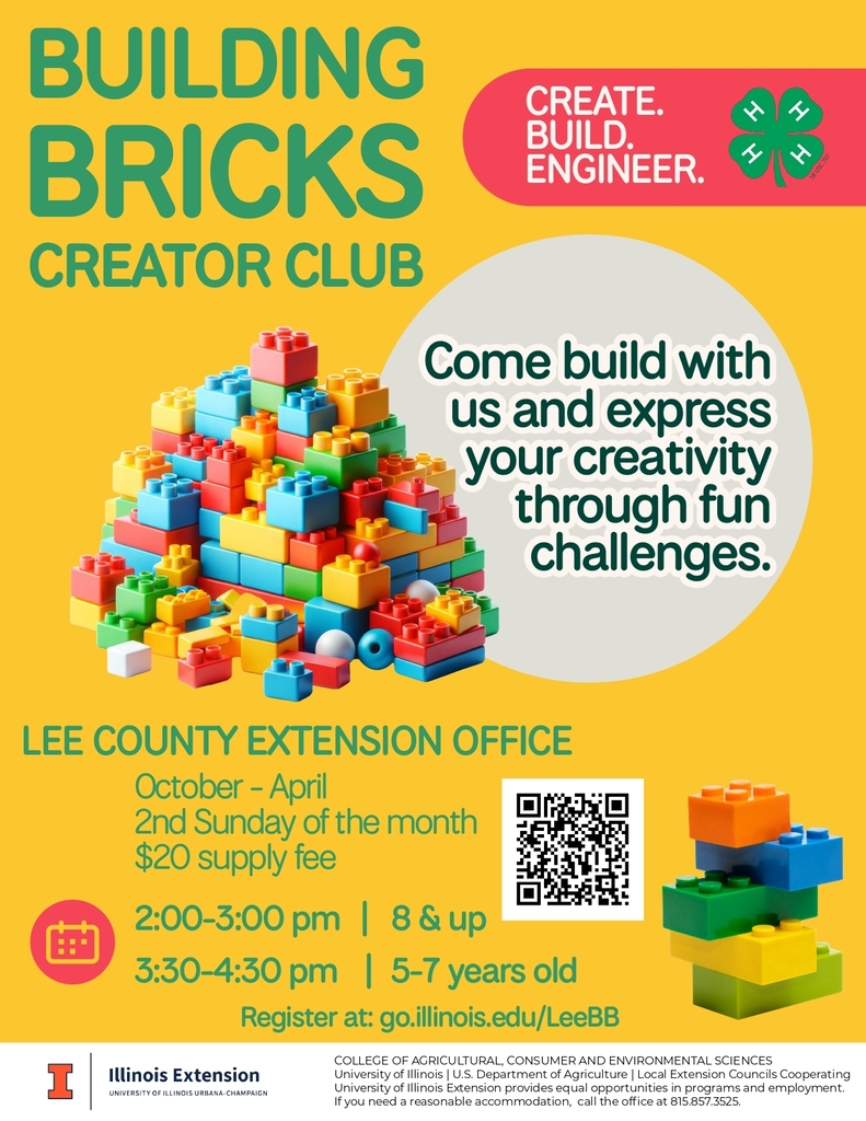 flyer for joining the building bricks club with dates and times