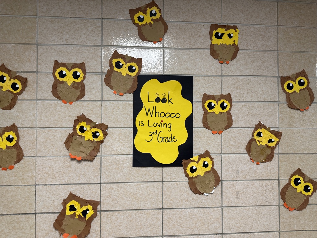 3rd grader owls