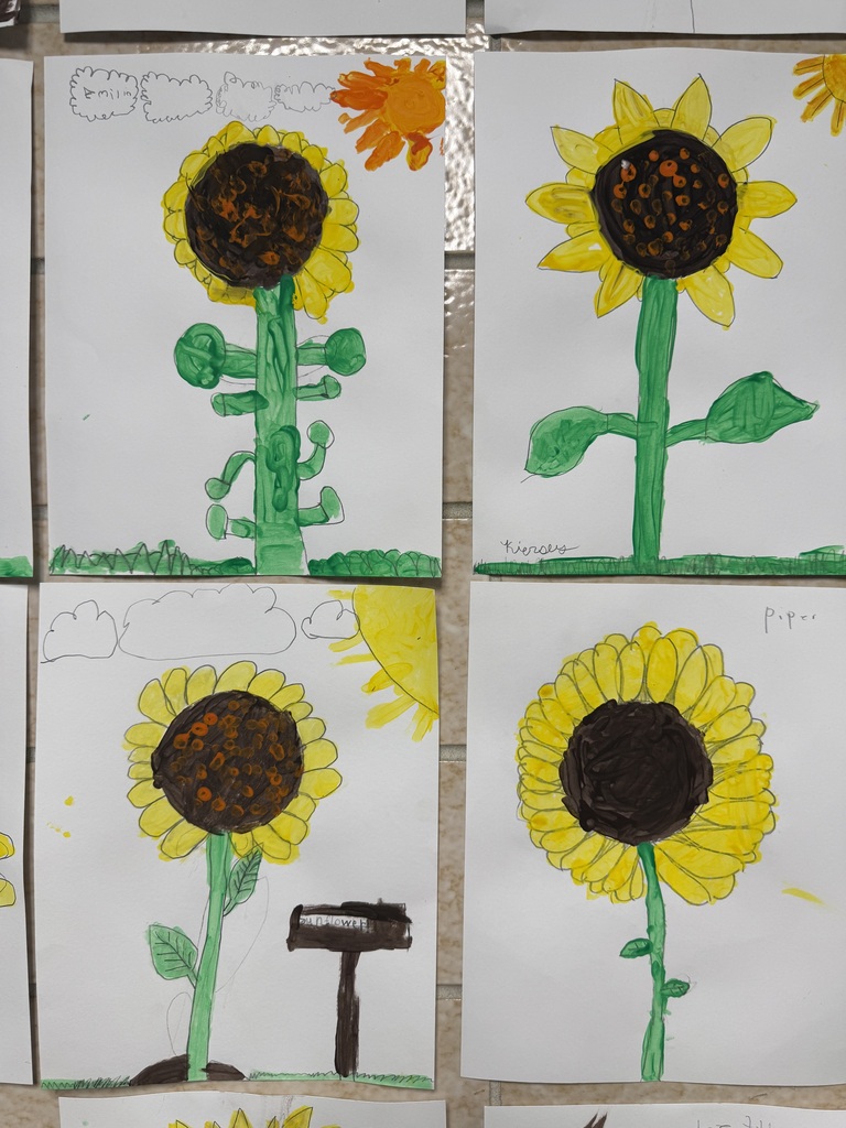 sunflowers painted by our third graders