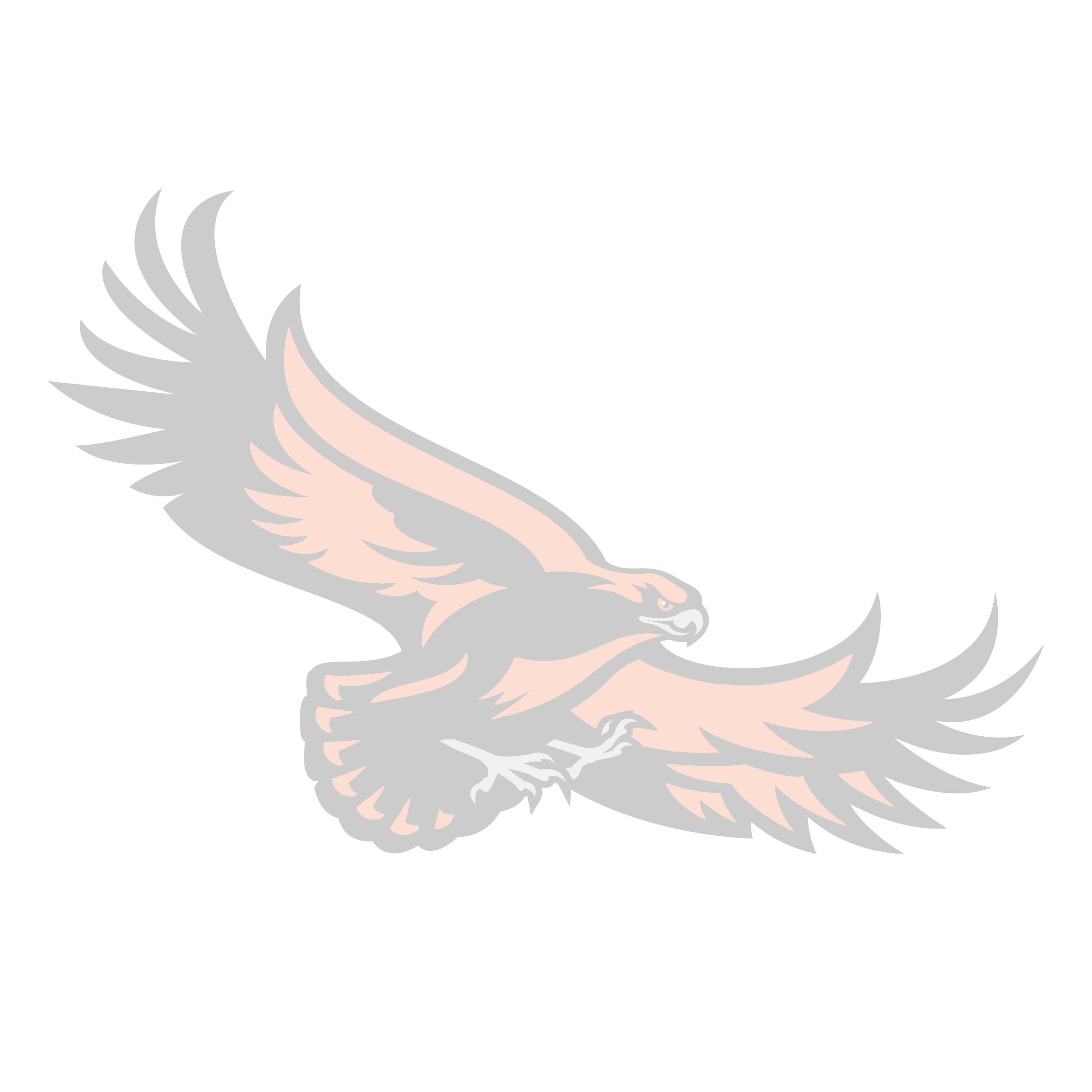 Documents Canistota School District