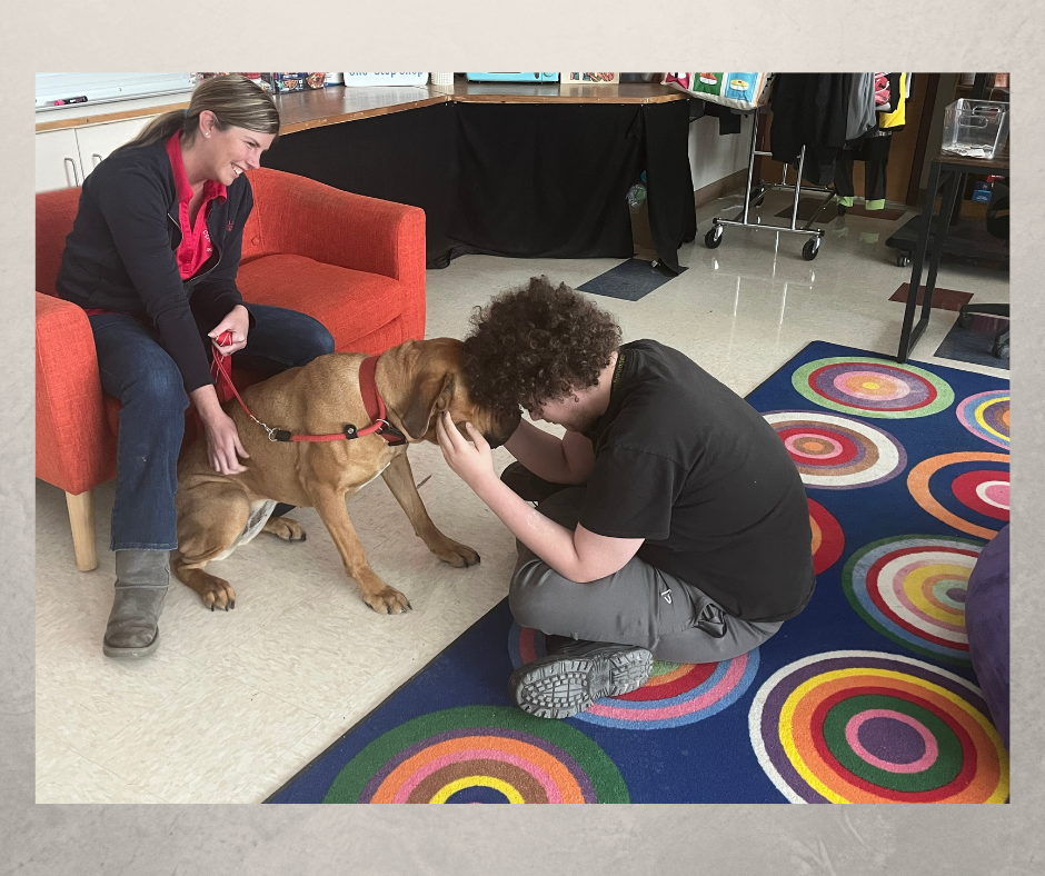 Connected Programming