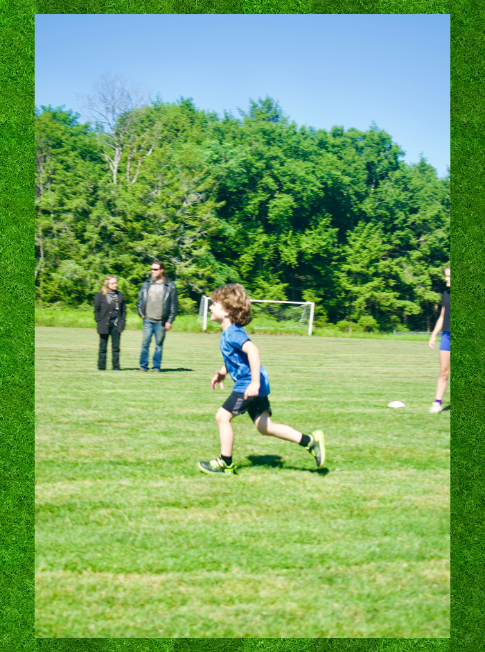 Field Days