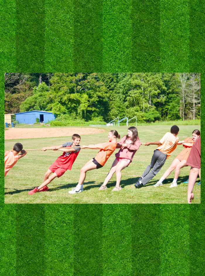 Field Days 
