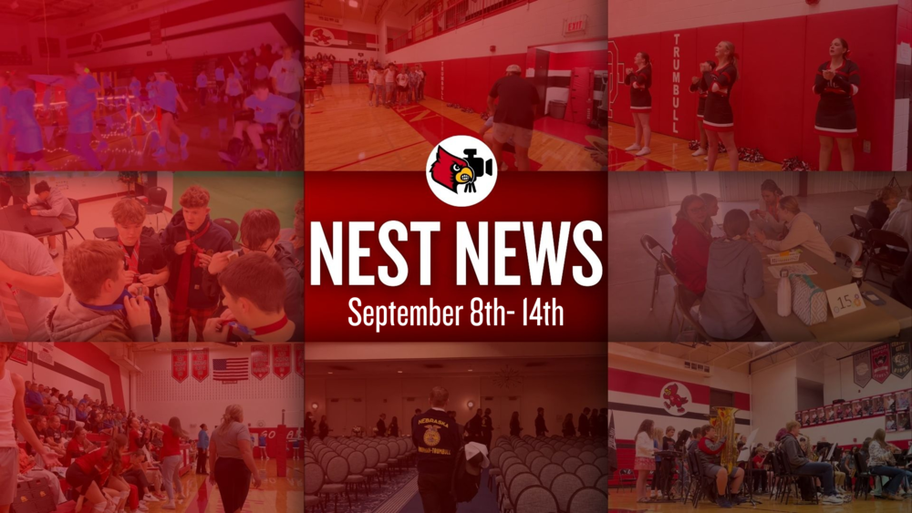 Nest News 2