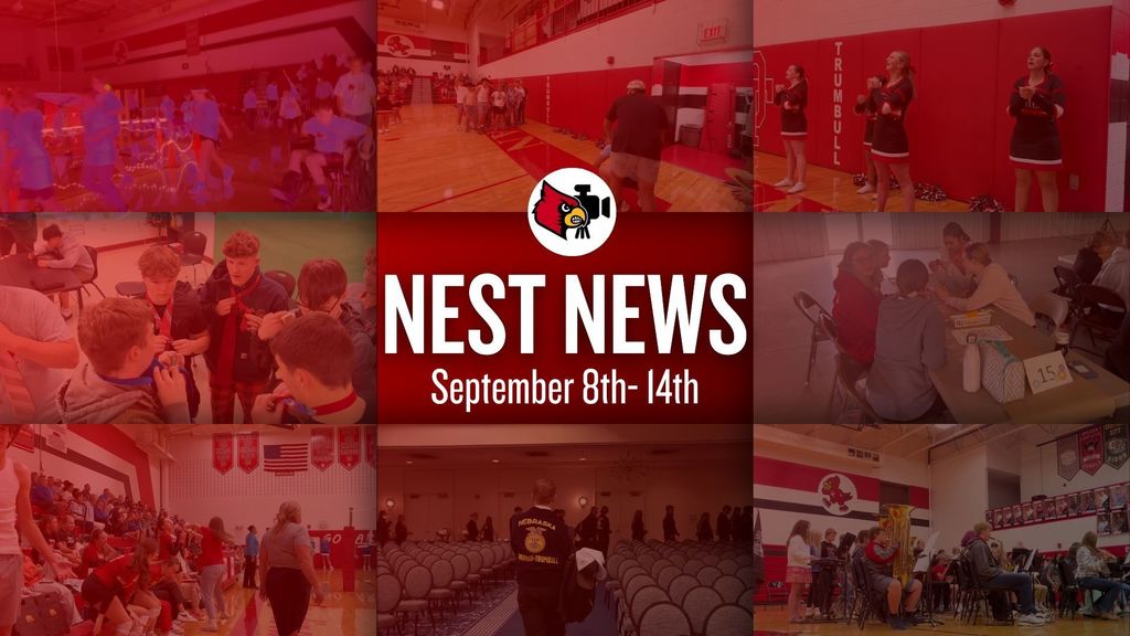 Nest News 2