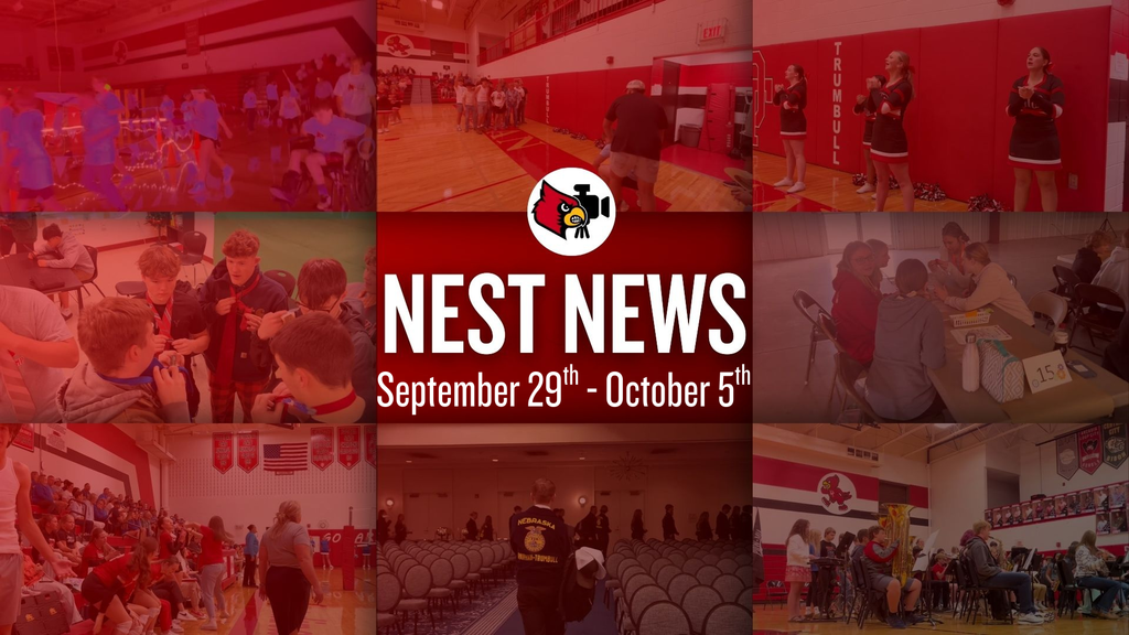 Nest News 5