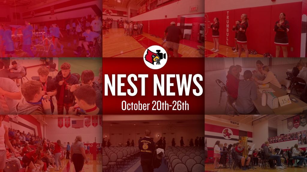 nest news 8