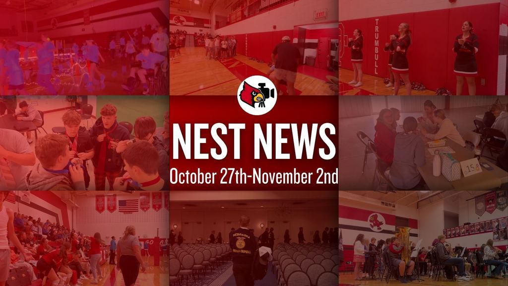 nest news 9